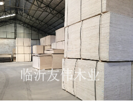 包裝板生蟲應(yīng)該怎么辦？